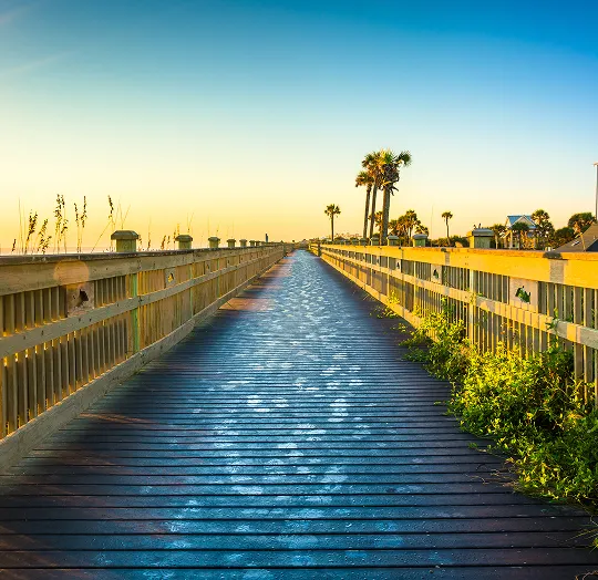 Wooden boardwalk flanked by railings and greenery, extending towards palm trees under a clear sky.
