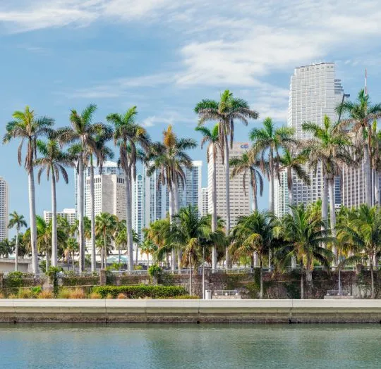Waterfront view of palm trees with a city skyline under a partly cloudy sky.