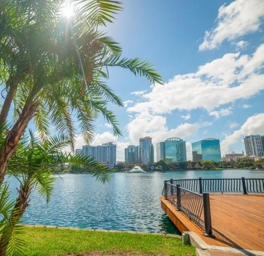 View of a city skyline across a lake with a wooden dock and palm tree under a sunny sky.